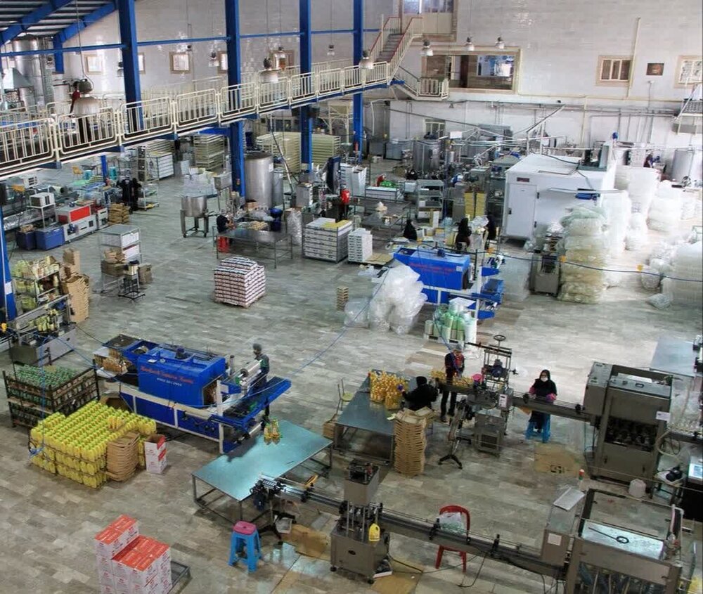 پرداخت ۳ تا ۵ سال حق بیمه سهم کارفرما از سوی دولت با جذب فارغ‌التحصیلان دانشگاهی