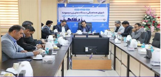 هرمزگان رتبه ۵ کشور در حوزه مشاغل خانگی را کسب کرد