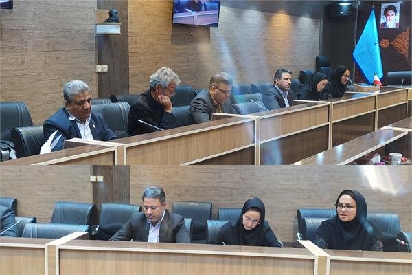 اختصاص بیش از ۱۳۳ میلیارد تومان اعتبار مشاغل خانگی به سیستان و بلوچستان 