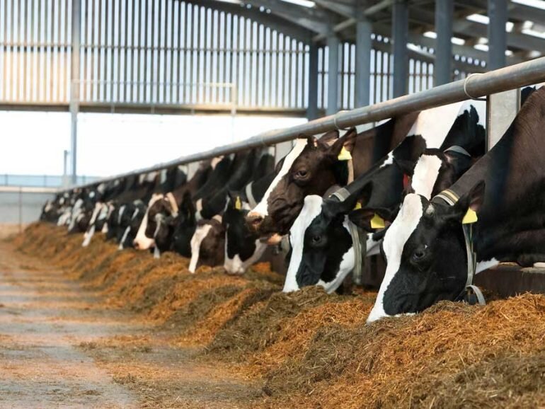 افزایش ۹۲ درصدی درآمد فروش هلدینگ صنایع عمومی تامین