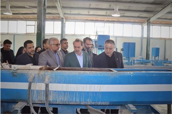 بازدید مدیرکل تعاون، کار و رفاه اجتماعی سمنان از دو شرکت تولیدی استان