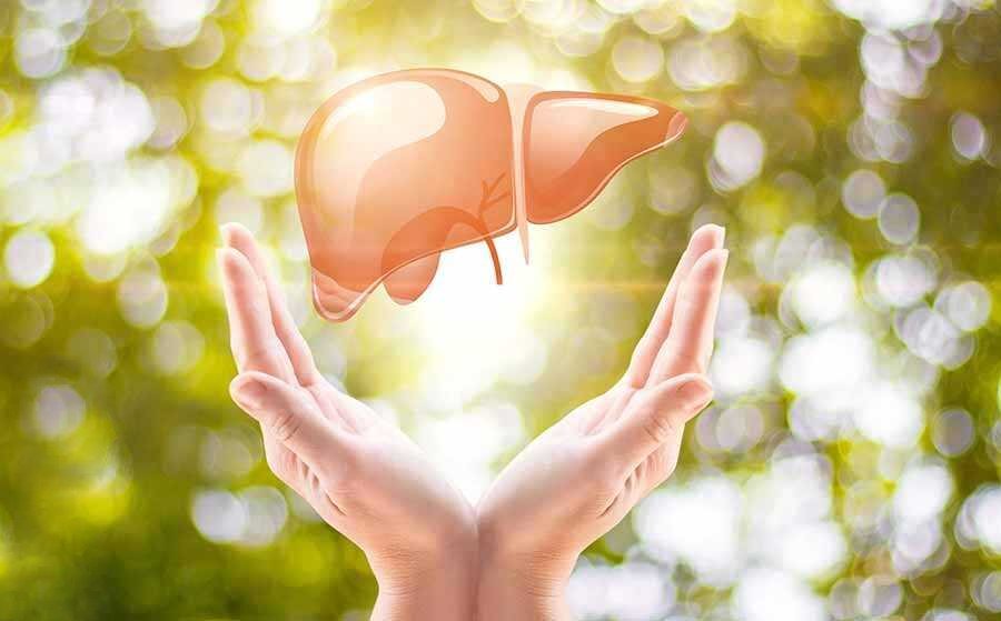 ۱۹ نکته طلایی برای کمک به کبد
