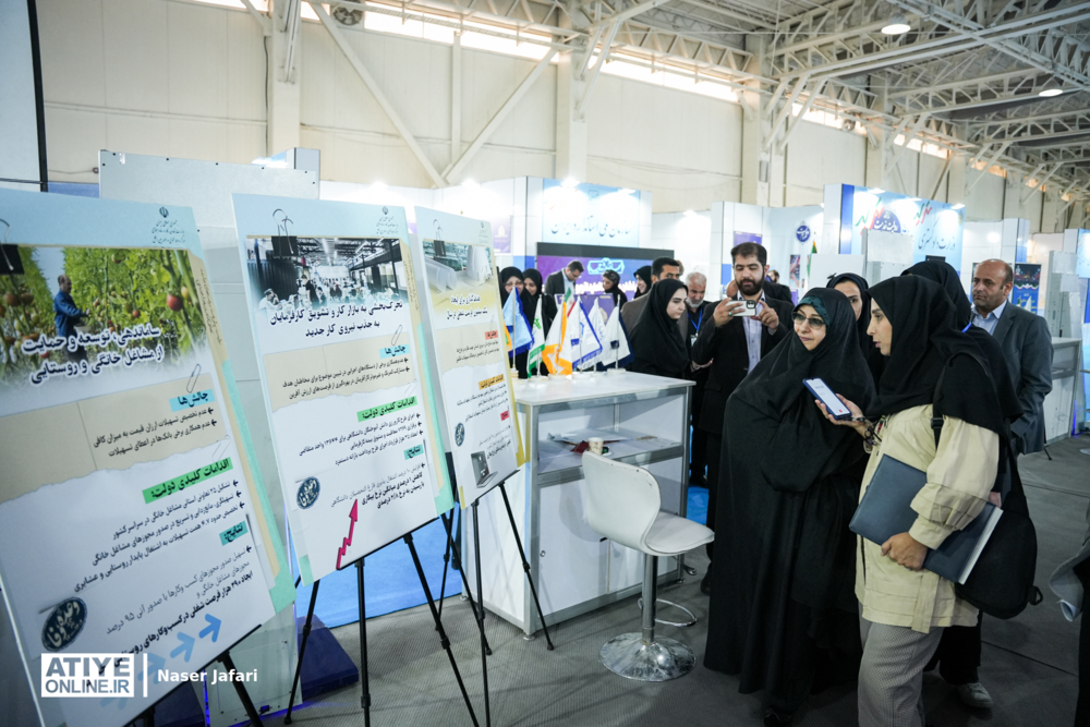 اقدامات‌ مشترکی در حمایت از اشتغال زنان به ثمر رسانده‌ایم 