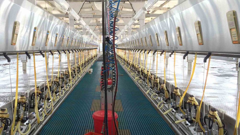 رشد ۳۷۲ درصدی سود خالص ملارد شیر