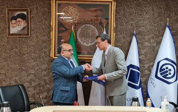 سرپرست جدید تیپیکو منصوب شد