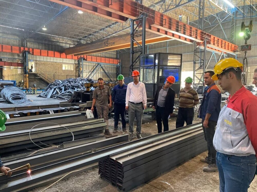 انجام بیش از ۸ هزار بازرسی از واحدهای کارگری ایلام 