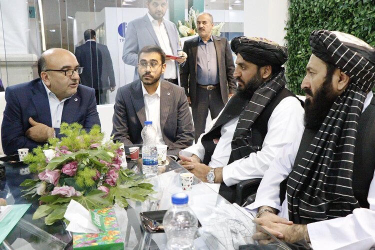 بررسی ظرفیت‌های صادراتی تیپیکو به کشورهای همسایه