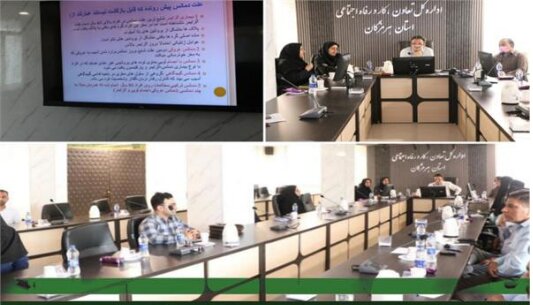 برگزاری دوره پیشگیری از آلزایمر در اداره کل تعاون، کار و رفاه اجتماعی هرمزگان