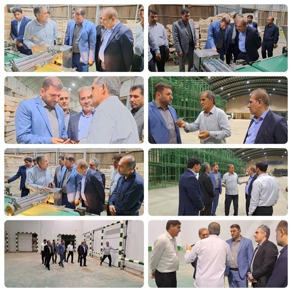 بازدید مدیرکل تعاون، کار و رفاه اجتماعی خوزستان از شرکت تعاونی مهرداد کرخه