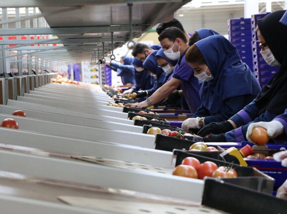 ثبت بیش از پنج هزار اشتغال توسط بوشهری‌ها 