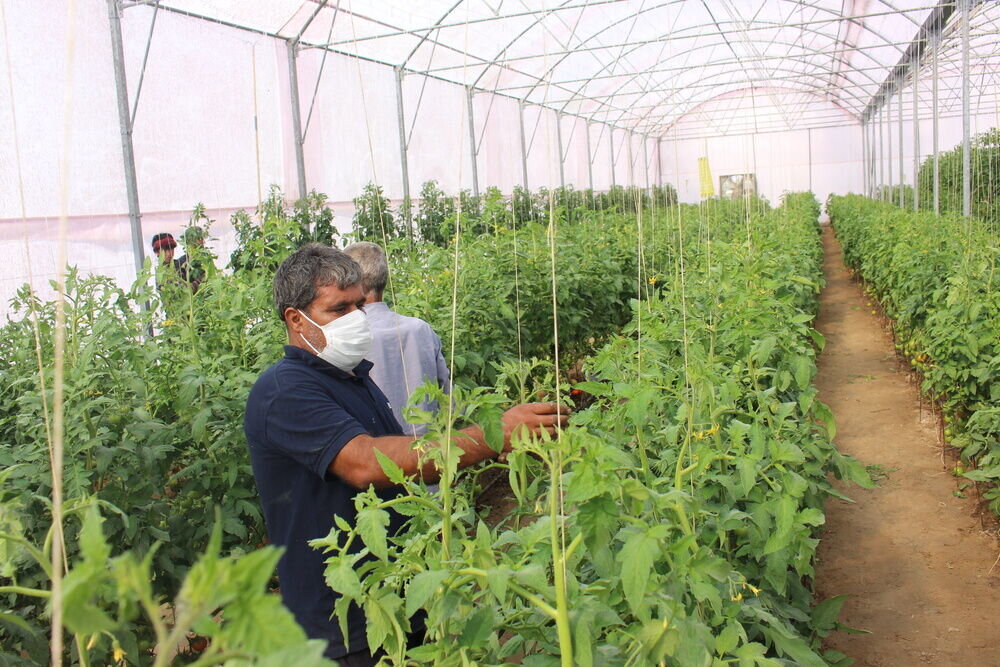 ایجاد بیش از دو هزار فرصت شغلی در سبزوار