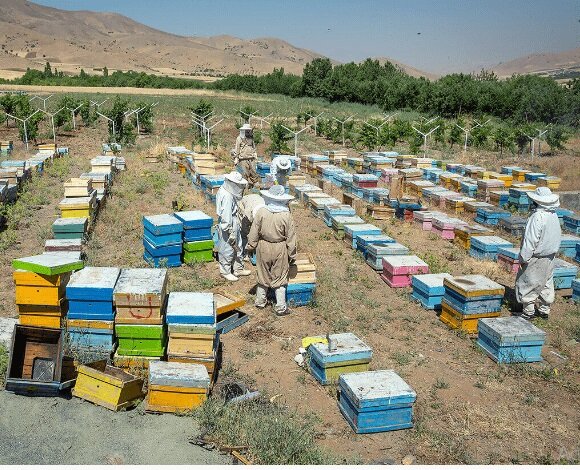 ایجاد بیش از ۲ هزار شغل توسط صندوق کارآفرینی امید خراسان‌شمالی