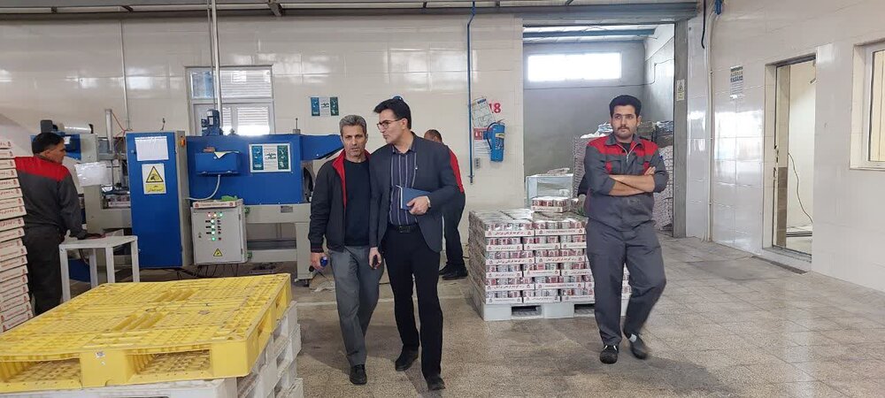 بازرسی هدفمند کارگاه‌های معادن سنگ کرمانشاه 