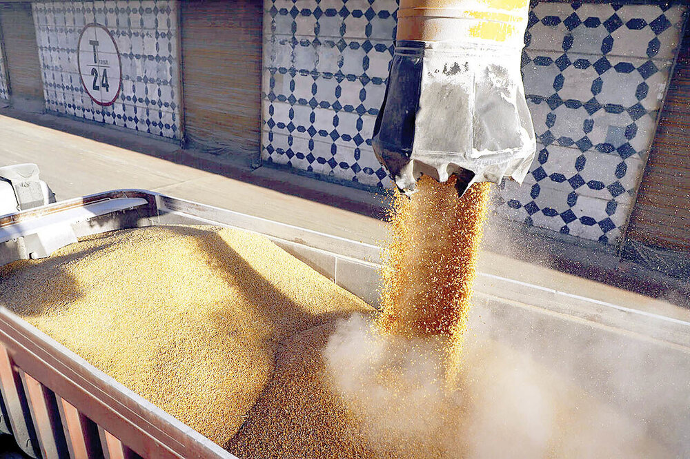 رژیم تحریمی دام و طیور