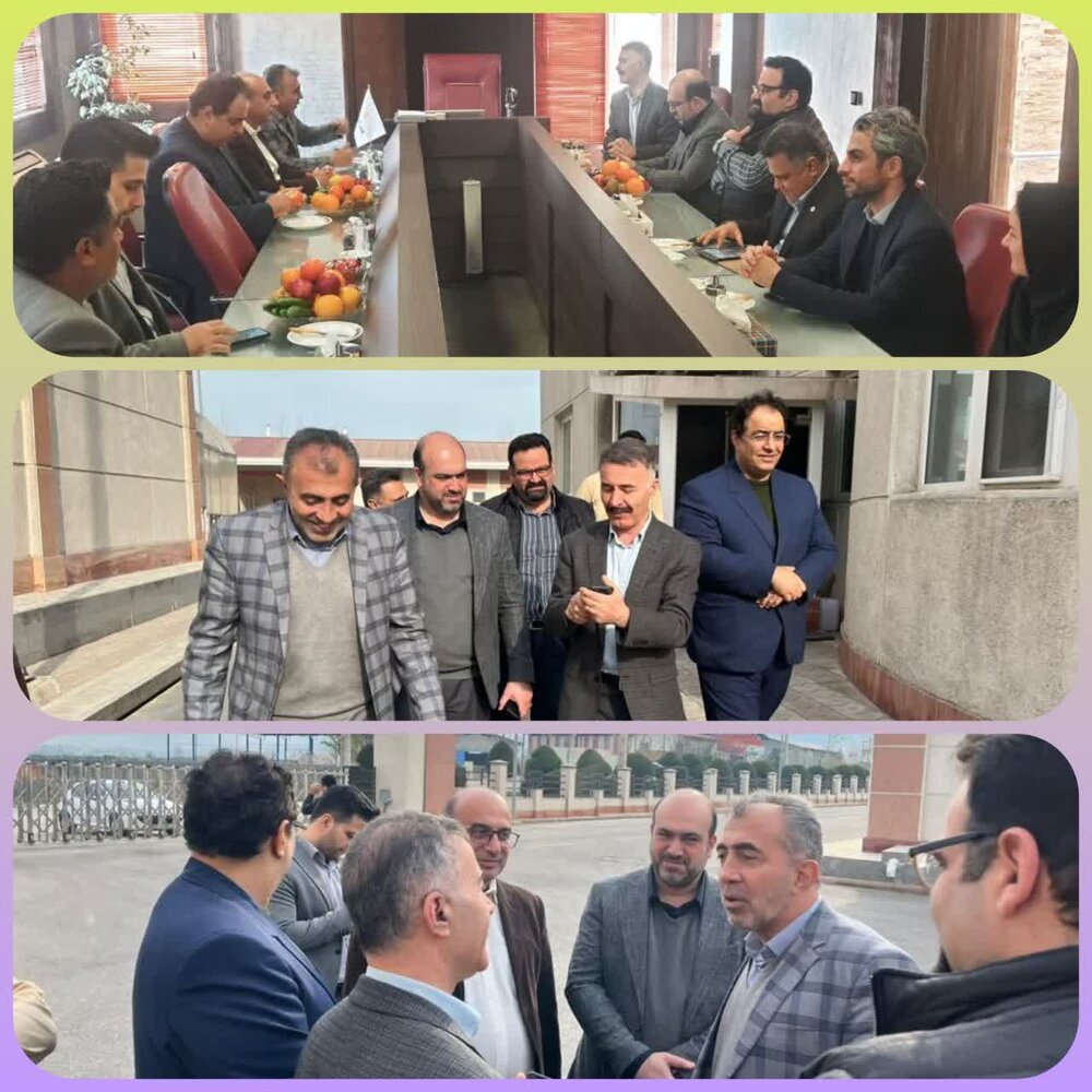 بازدید مدیر درمان و مدیرکل تامین‌اجتماعی استان مازندران از گروه تولیدی ساوانا