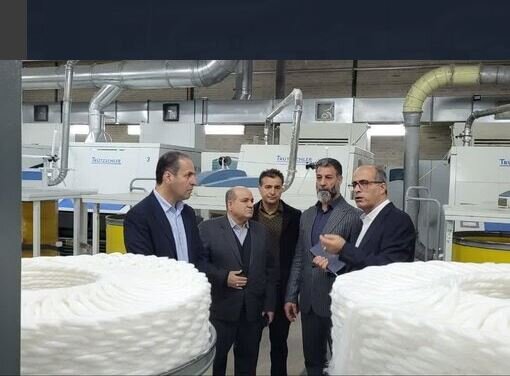 پرداخت ماهانه بیش از ۵ هزار میلیارد ریال به مستمری‌بگیران تامین‌اجتماعی لرستان