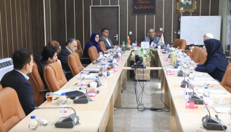 برگزاری نشست کارگروه قانون حمایت از معلولان در اداره کل بهزیستی گیلان