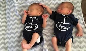 تهران رکوردار چندقلوزایی در ایران شد