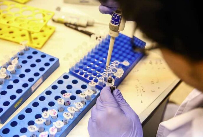 بهره‌مندی بیش از ۸ هزار مددجوی بهزیستی خوزستان از خدمات مراکز مشاوره ژنتیک