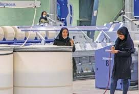 حاشیه نشینی زنان در اقتصاد 