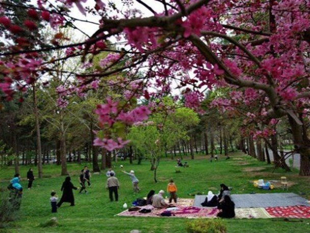 خانواده؛ اساس جامعه سالم را تشکیل می‌دهد