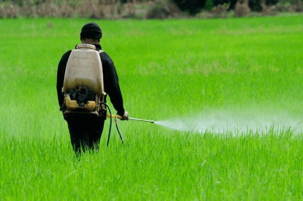 نانو آفت‌کش گیاهی؛ دستاورد یک زن ایرانی برای خودکفایی