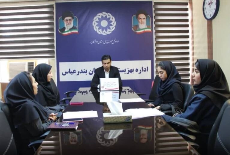 مراقبت و ویزیت در منزل برای ۴۸۲ فرد معلول در بندرعباس 