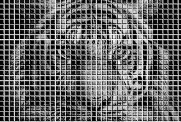 کاشی‌های مینیاتوری صنایع سرام‌آرا شستا به عراق صادر شد