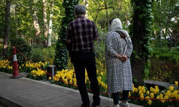 دود از کنده بلند می‌شود