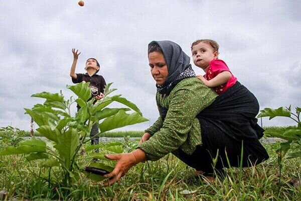 عضویت رایگان ۶۷۰۰ مادر زنجانی دارای سه فرزند و بیشتر در صندوق بیمه روستاییان