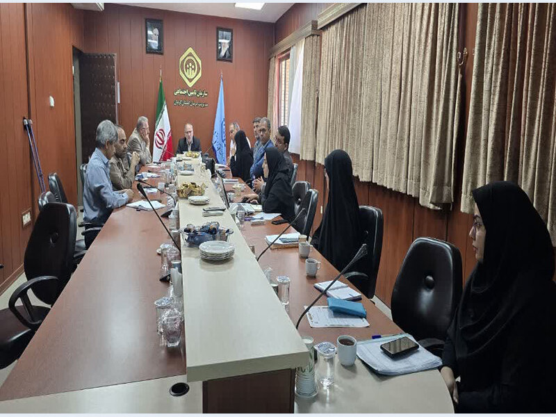 بررسی مشکلات بیمارستان پیامبر اعظم(ص) در مدیریت درمان تامین اجتماعی کرمان