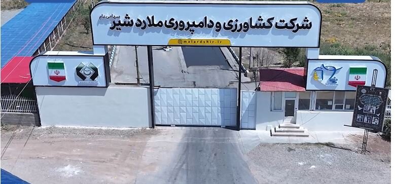 رشد ۴۱ درصدی فروش شرکت «کشاورزی و دامپروری ملارد شیر»