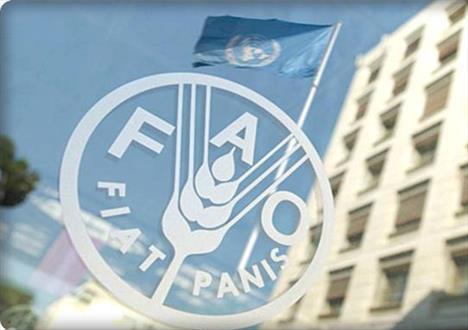 ترامپ بازار جهانی غذا را به‌هم ریخت
