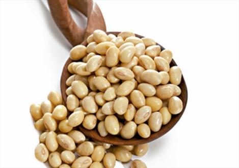 نحوه تاثیر سویا بر درمان سرطان سینه