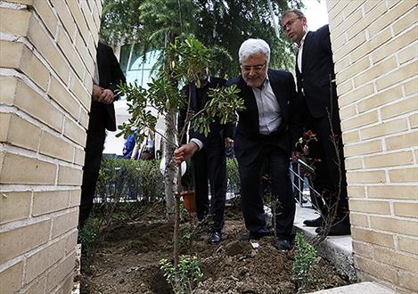 دکتر نوربخش تعدادی اصله نهال غرس کرد