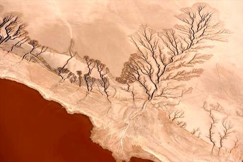 تصاویری فریبنده از سراسر جهان