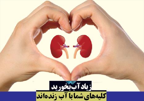 سلامت کلیه ها در فصل گرما
