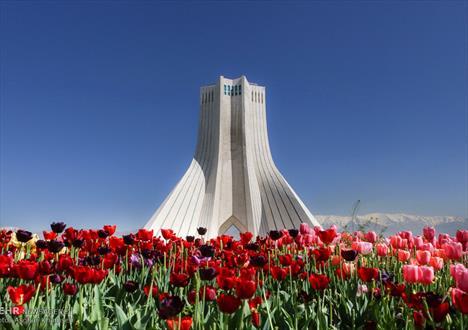 رنگین کمان لاله ها در تهران