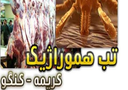 تعداد مبتلایان تب کریمه کنگو به ٣٨ نفر رسید