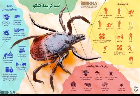 تب کریمه کنگو+اینفوگراف