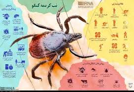 قربانیان جدید؛ ٣٣ مبتلا و ٣ فوتی