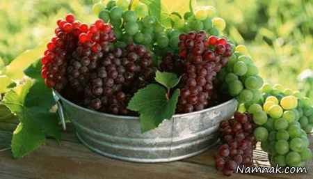 نابودی سلول های سرطان روده با ترکیبات انگور