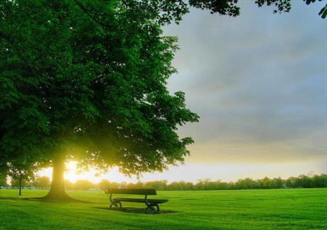 عادت هایی که زندگی شما را متحول می کند