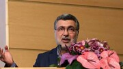 کاشت رایگان 2 هزار حلزون شنوایی کودکان در سال 