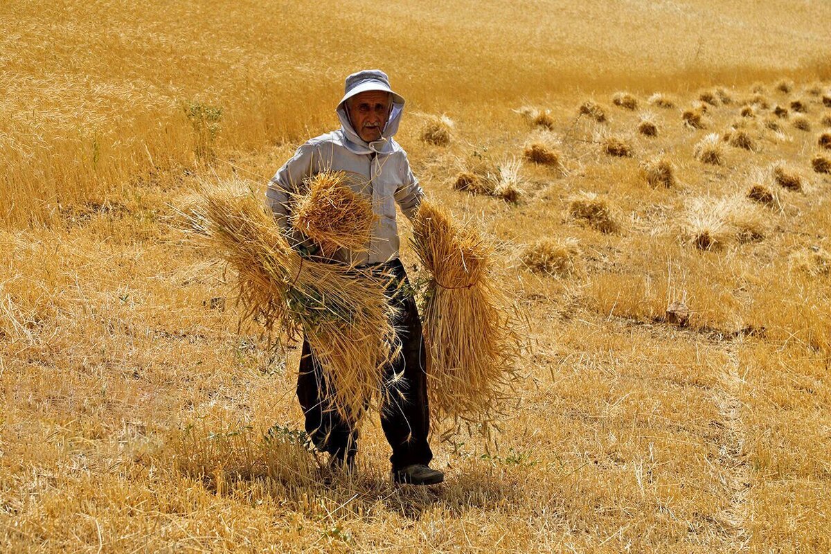افزایش مستمری جامعه روستایی و عشایری