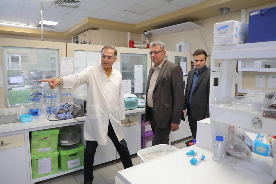 تعاونی ها برند ایرانی را در سطح بین المللی مطرح کنند