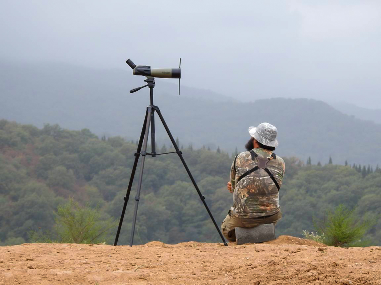 شاید برنگردم