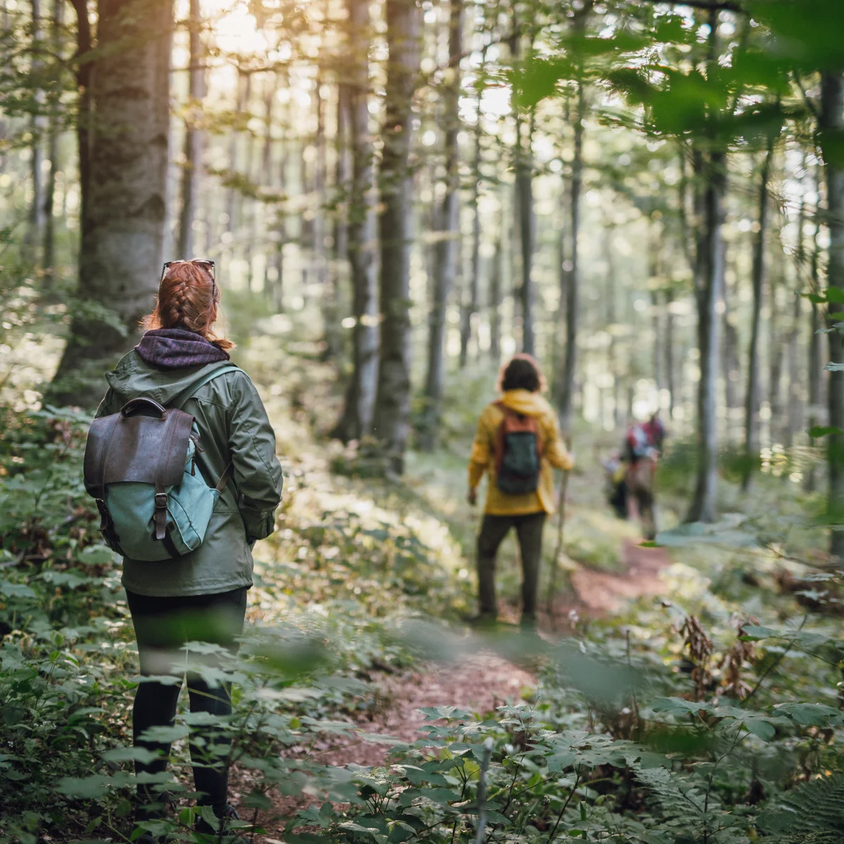 چگونه دوستدار طبیعت باشیم؟