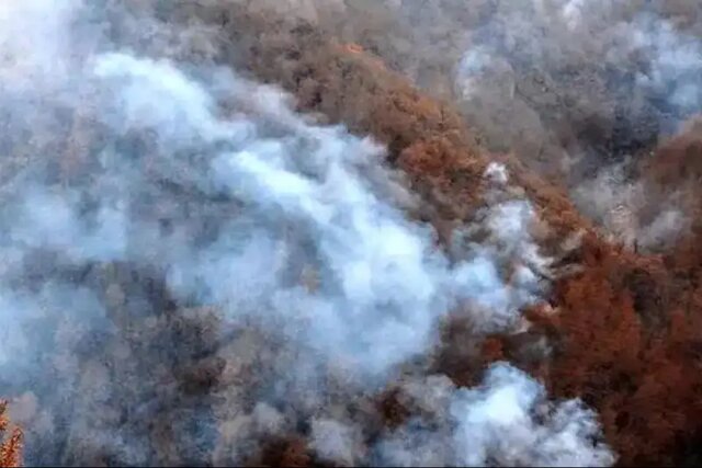 الیت می‌سوزد؛ روایت سه‌جبهه‌ای از نبرد با آتش در زمین، هوا و باد