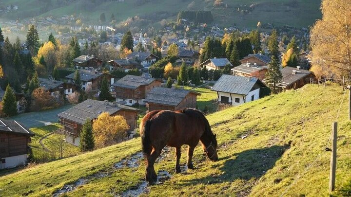 خشکسالی حتی به کشاورزان سوئیس هم رسید